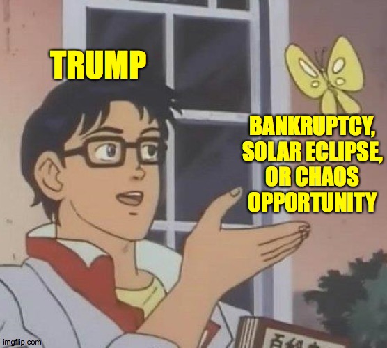 Is This A Pigeon | TRUMP; BANKRUPTCY,
SOLAR ECLIPSE,
OR CHAOS
OPPORTUNITY | image tagged in memes,is this a pigeon,captain chaos | made w/ Imgflip meme maker