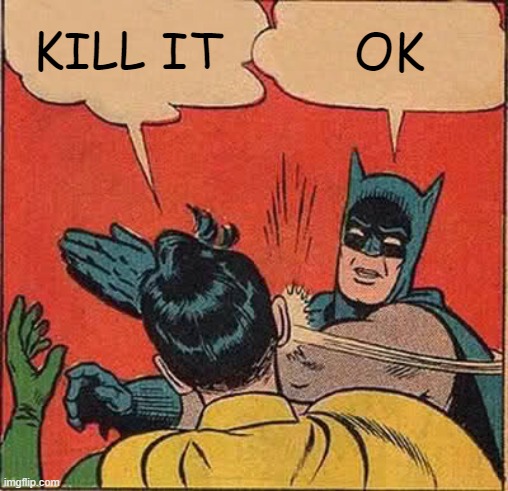 Batman Slapping Robin Meme | KILL IT OK | image tagged in memes,batman slapping robin | made w/ Imgflip meme maker