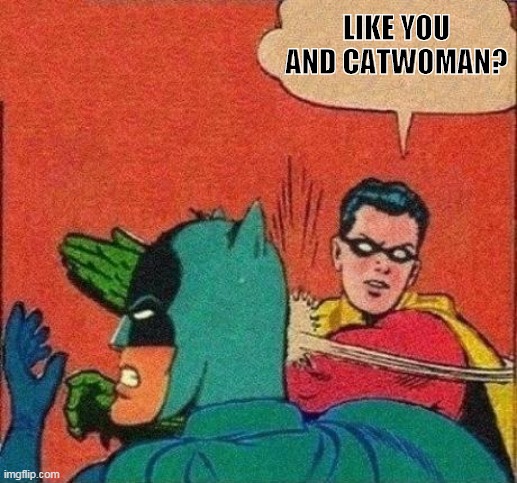Robin Slaps Batman | LIKE YOU AND CATWOMAN? | image tagged in robin slaps batman | made w/ Imgflip meme maker