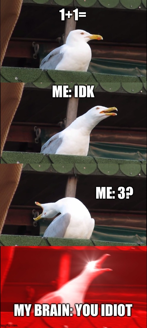 Inhaling Seagull | 1+1=; ME: IDK; ME: 3? MY BRAIN: YOU IDIOT | image tagged in memes,inhaling seagull | made w/ Imgflip meme maker