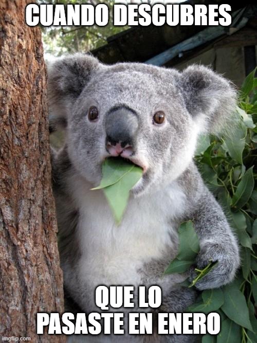 COVID | CUANDO DESCUBRES; QUE LO PASASTE EN ENERO | image tagged in memes,surprised koala | made w/ Imgflip meme maker
