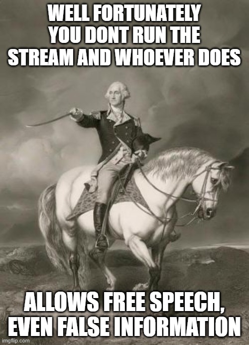 adventures of george washington | WELL FORTUNATELY YOU DONT RUN THE STREAM AND WHOEVER DOES ALLOWS FREE SPEECH, EVEN FALSE INFORMATION | image tagged in adventures of george washington | made w/ Imgflip meme maker