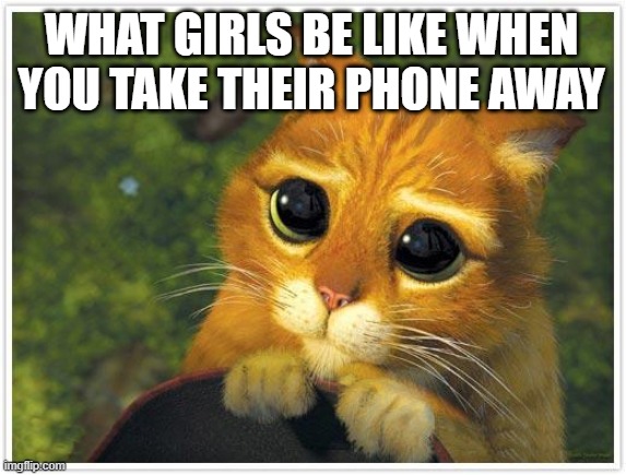 Shrek Cat Meme | WHAT GIRLS BE LIKE WHEN
YOU TAKE THEIR PHONE AWAY | image tagged in memes,shrek cat | made w/ Imgflip meme maker