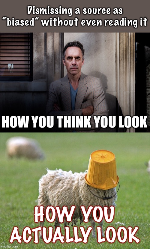 “Bias” isn’t magic fairy-dust to sprinkle over your lack of an argument. | Dismissing a source as “biased” without even reading it; HOW YOU THINK YOU LOOK; HOW YOU ACTUALLY LOOK | image tagged in stupid sheep,jordan peterson,biased media,media bias,bias,mainstream media | made w/ Imgflip meme maker