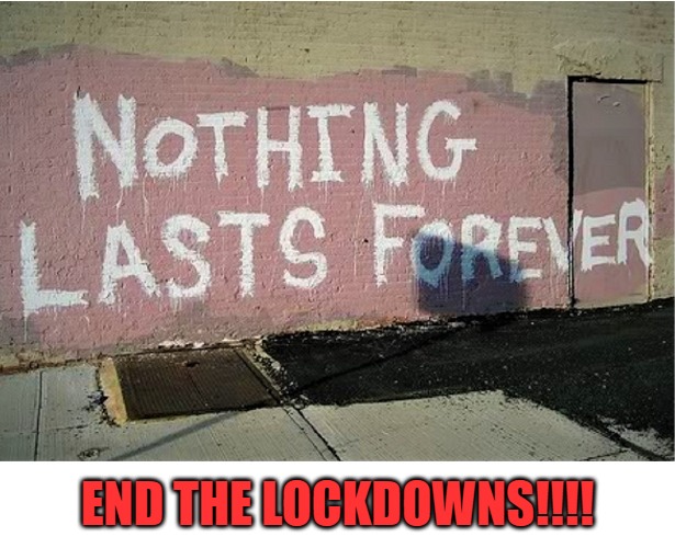 BRING BACK NORMAL!!! | END THE LOCKDOWNS!!!! | image tagged in covid-19,lockdown,protest | made w/ Imgflip meme maker