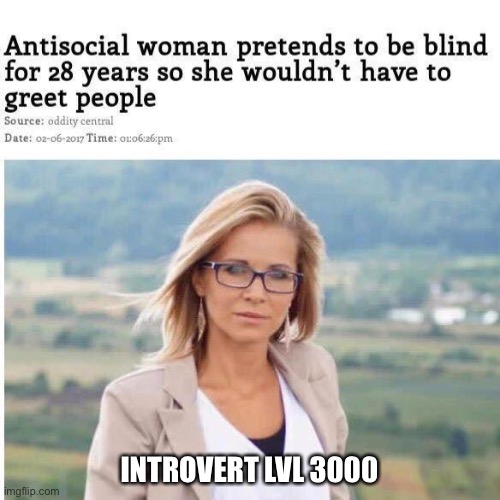 INTROVERT LVL 3000 | image tagged in introvert | made w/ Imgflip meme maker