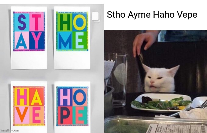 Stay Home Have Hope | Stho Ayme Haho Vepe | image tagged in woman yelling at cat | made w/ Imgflip meme maker