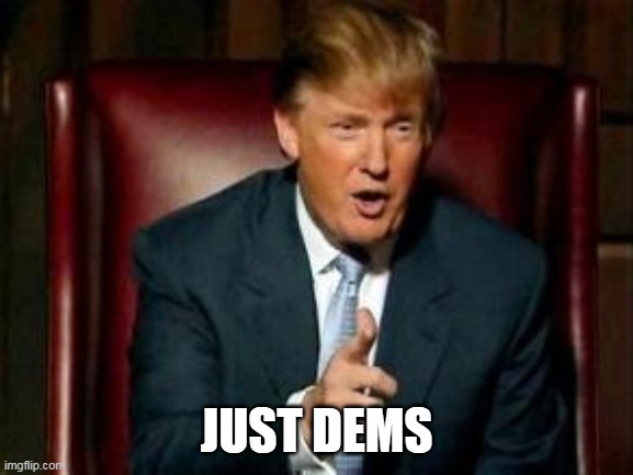 Donald Trump | JUST DEMS | image tagged in donald trump | made w/ Imgflip meme maker