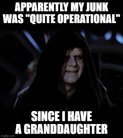 The Tackle Caught a Fish | APPARENTLY MY JUNK WAS "QUITE OPERATIONAL"; SINCE I HAVE A GRANDDAUGHTER | image tagged in quite operational | made w/ Imgflip meme maker