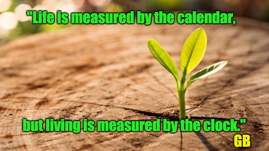 Live Your Life | "Life is measured by the calendar, GB; but living is measured by the clock." | image tagged in life,living,time,yesterday,today,tomorrow | made w/ Imgflip meme maker