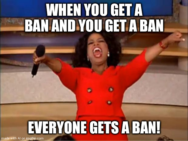 Imgflip mods | WHEN YOU GET A BAN AND YOU GET A BAN; EVERYONE GETS A BAN! | image tagged in memes,oprah you get a | made w/ Imgflip meme maker