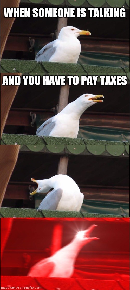 Inhaling Seagull Meme | WHEN SOMEONE IS TALKING; AND YOU HAVE TO PAY TAXES | image tagged in memes,inhaling seagull | made w/ Imgflip meme maker