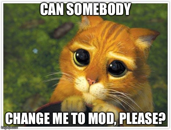 change me to MOD? | CAN SOMEBODY; CHANGE ME TO MOD, PLEASE? | image tagged in memes,shrek cat | made w/ Imgflip meme maker