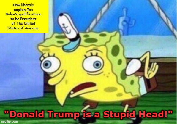 Their best argument. It may not be good one, but it's still their best. | How liberals explain Joe Biden's qualifications to be President of The United States of America. "Donald Trump is a Stupid Head!" | image tagged in memes,mocking spongebob | made w/ Imgflip meme maker