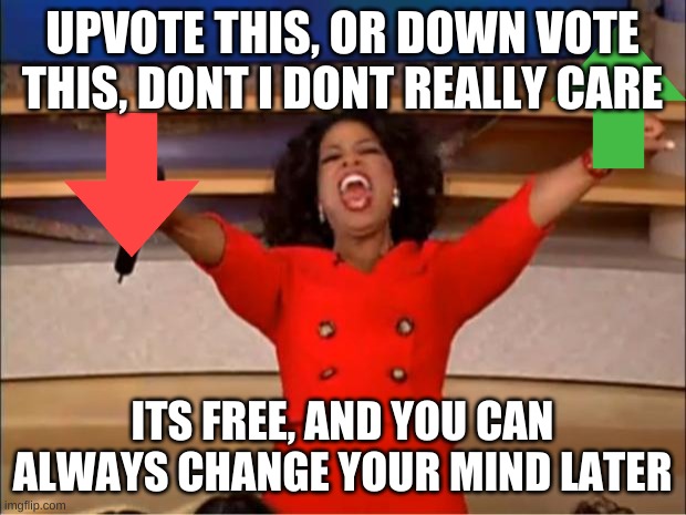 IDRK | UPVOTE THIS, OR DOWN VOTE THIS, DONT I DONT REALLY CARE; ITS FREE, AND YOU CAN ALWAYS CHANGE YOUR MIND LATER | image tagged in memes,oprah you get a | made w/ Imgflip meme maker