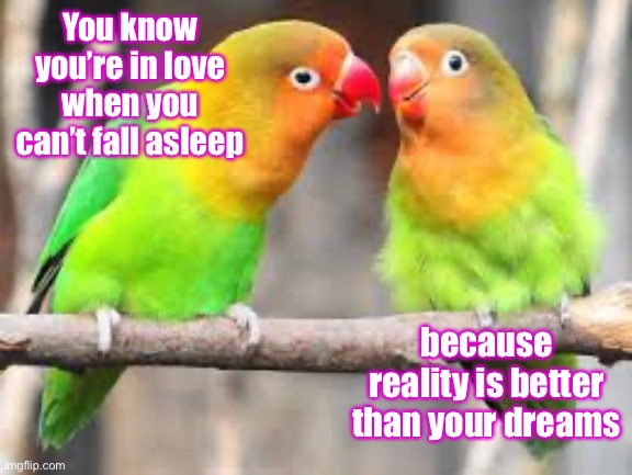 You know you’re in love when you can’t fall asleep; because reality is better than your dreams | image tagged in love,reality,dreams | made w/ Imgflip meme maker