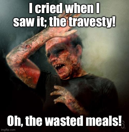 burning vampire | I cried when I saw it; the travesty! Oh, the wasted meals! | image tagged in burning vampire | made w/ Imgflip meme maker