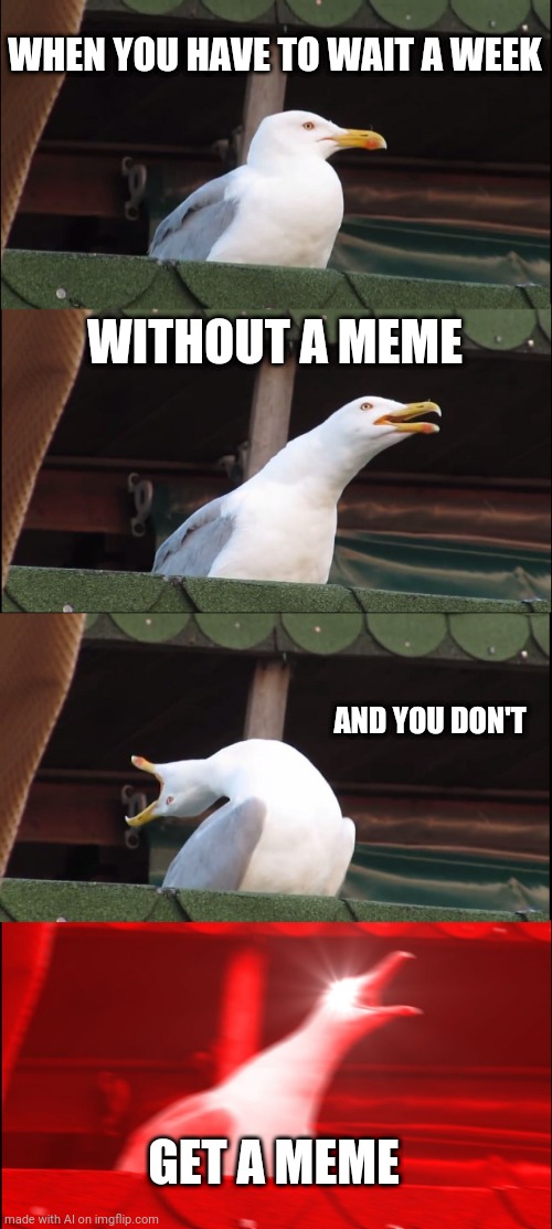 Oh the pain | WHEN YOU HAVE TO WAIT A WEEK; WITHOUT A MEME; AND YOU DON'T; GET A MEME | image tagged in memes,inhaling seagull | made w/ Imgflip meme maker
