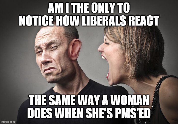 angry woman | AM I THE ONLY TO NOTICE HOW LIBERALS REACT; THE SAME WAY A WOMAN DOES WHEN SHE'S PMS'ED | image tagged in angry woman | made w/ Imgflip meme maker