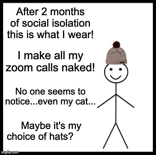 Naked Zoom Calling | After 2 months of social isolation this is what I wear! I make all my zoom calls naked! No one seems to notice...even my cat... Maybe it's my choice of hats? | image tagged in memes,be like bill,zoom,naked,cat,isolation | made w/ Imgflip meme maker