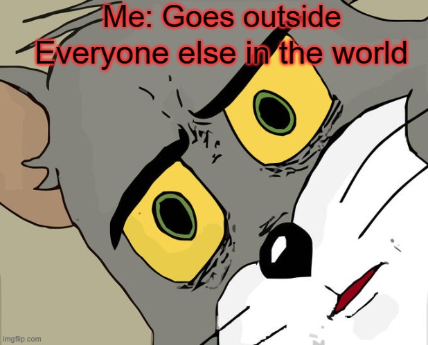 Stay inside | Me: Goes outside; Everyone else in the world | image tagged in memes,unsettled tom,dank memes,stay at home,stay home | made w/ Imgflip meme maker
