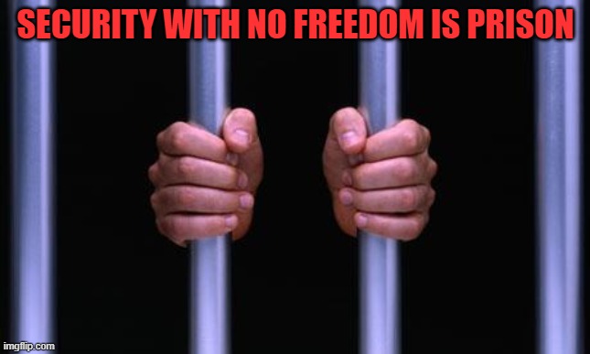 planetary lockdown | SECURITY WITH NO FREEDOM IS PRISON | image tagged in prison bars | made w/ Imgflip meme maker