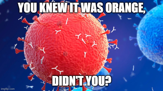 You knew it was orange | YOU KNEW IT WAS ORANGE, DIDN'T YOU? | image tagged in coronavirus,trump,orange trump | made w/ Imgflip meme maker