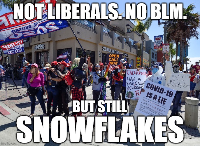 NOT LIBERALS. NOT BLM. BUT STILL SNOWFLAKES | NOT LIBERALS. NO BLM. BUT STILL; SNOWFLAKES | image tagged in coronavirus,meme,covid19,protesters,protest,right wing | made w/ Imgflip meme maker