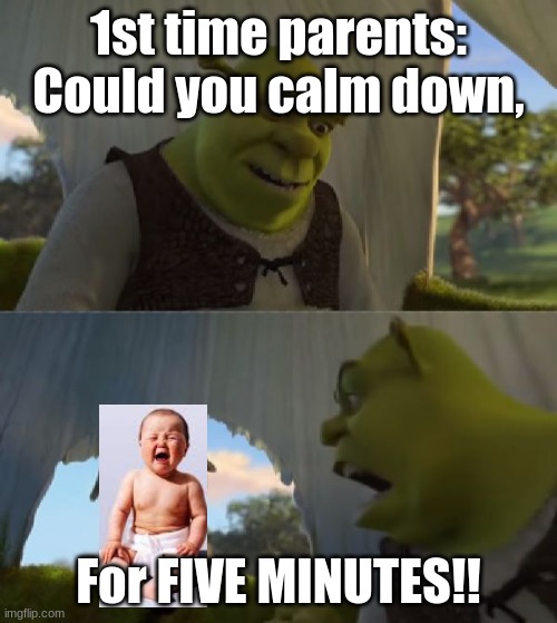 Could you not ___ for 5 MINUTES | 1st time parents: Could you calm down, For FIVE MINUTES!! | image tagged in could you not ___ for 5 minutes | made w/ Imgflip meme maker