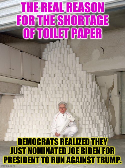 Behind every crisis, there is the Democrat Party, I mean panic. | THE REAL REASON FOR THE SHORTAGE OF TOILET PAPER; DEMOCRATS REALIZED THEY JUST NOMINATED JOE BIDEN FOR PRESIDENT TO RUN AGAINST TRUMP. | image tagged in mountain of toilet paper | made w/ Imgflip meme maker