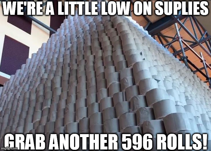 WE'RE A LITTLE LOW ON SUPLIES GRAB ANOTHER 596 ROLLS! | made w/ Imgflip meme maker