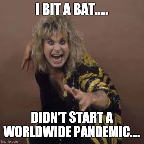 I BIT A BAT..... DIDN'T START A WORLDWIDE PANDEMIC.... | image tagged in ozzy osbourne | made w/ Imgflip meme maker