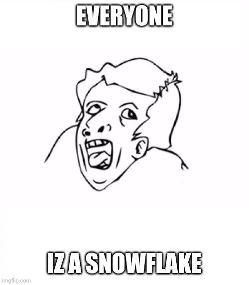 hurr durr | EVERYONE IZ A SNOWFLAKE | image tagged in hurr durr | made w/ Imgflip meme maker