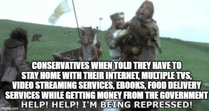 the real victims here | CONSERVATIVES WHEN TOLD THEY HAVE TO STAY HOME WITH THEIR INTERNET, MULTIPLE TVS, VIDEO STREAMING SERVICES, EBOOKS, FOOD DELIVERY SERVICES WHILE GETTING MONEY FROM THE GOVERNMENT | image tagged in help help im being repressed,conservative logic,covid-19,coronavirus | made w/ Imgflip meme maker