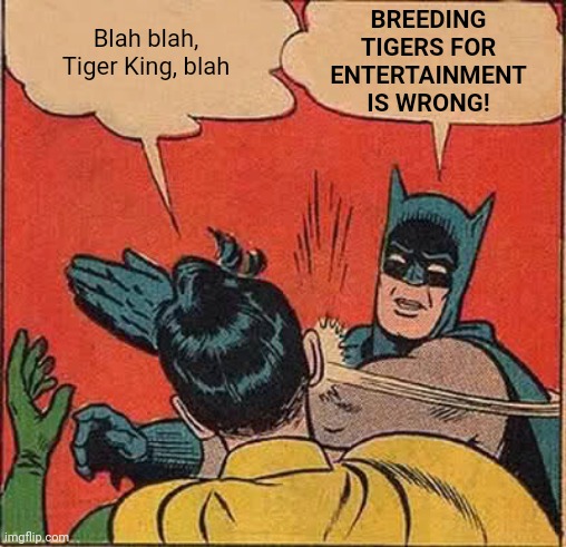 Tiger Pricks | BREEDING TIGERS FOR ENTERTAINMENT IS WRONG! Blah blah, Tiger King, blah | image tagged in memes,batman slapping robin | made w/ Imgflip meme maker