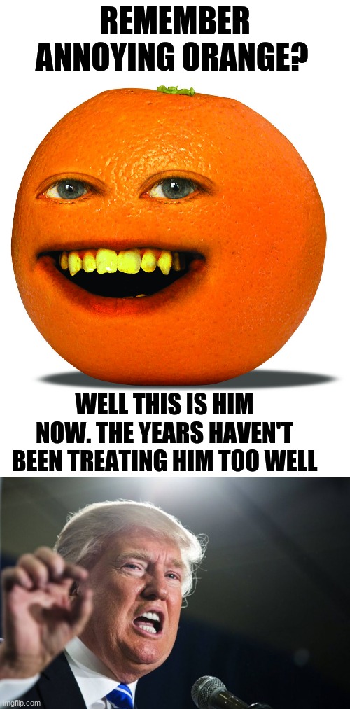 I will never stop comparing Trump to oranges | REMEMBER ANNOYING ORANGE? WELL THIS IS HIM NOW. THE YEARS HAVEN'T BEEN TREATING HIM TOO WELL | image tagged in donald trump,annoying orange,bruh,do you remember | made w/ Imgflip meme maker