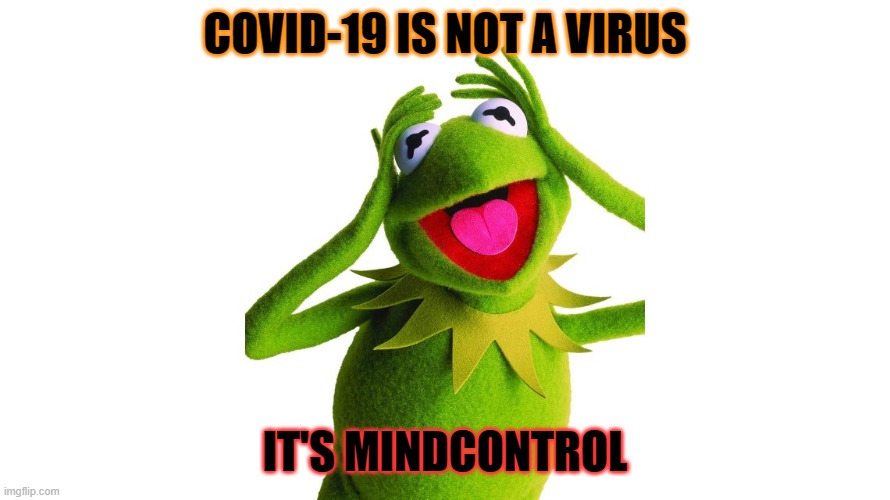 hoax-virus, real mind control | COVID-19 IS NOT A VIRUS; IT'S MINDCONTROL | image tagged in mindcontrol,virus,coronavirus,covid-19,hoax | made w/ Imgflip meme maker