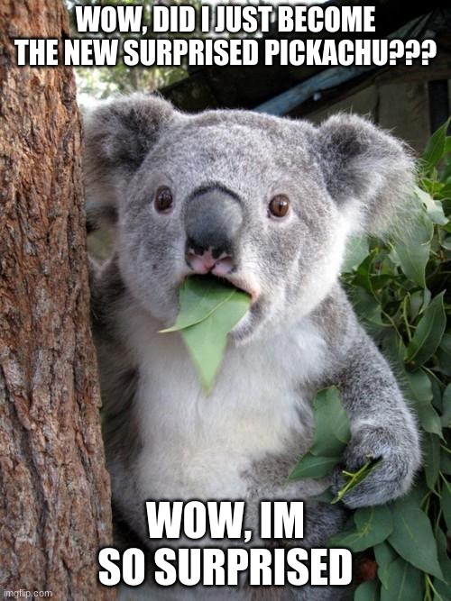 Surprised Koala Meme Imgflip