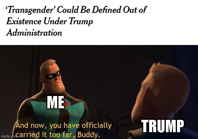 Come on, man | TRUMP; ME | image tagged in and now you have officially carried it too far buddy | made w/ Imgflip meme maker