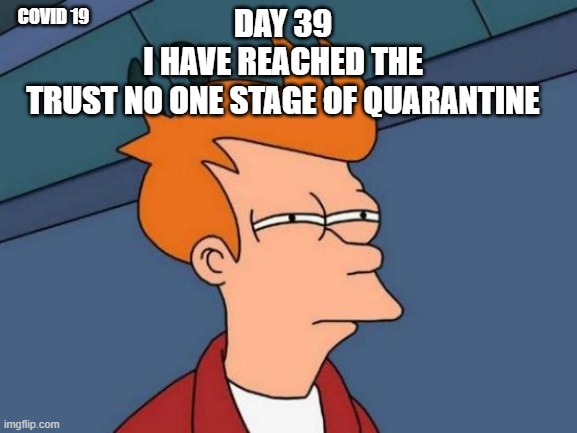 fry | DAY 39
I HAVE REACHED THE
TRUST NO ONE STAGE OF QUARANTINE; COVID 19 | image tagged in memes,futurama fry | made w/ Imgflip meme maker