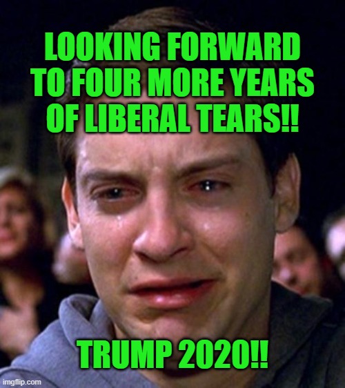 Looking forward to four more years of liberal tears!!  Trump 2020!! | LOOKING FORWARD TO FOUR MORE YEARS OF LIBERAL TEARS!! TRUMP 2020!! | image tagged in crying peter parker,trump 2020,liberal tears,snowflake meltdown,triggered liberal | made w/ Imgflip meme maker