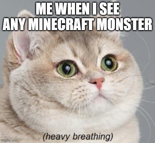 Cat | ME WHEN I SEE ANY MINECRAFT MONSTER | image tagged in memes,heavy breathing cat | made w/ Imgflip meme maker