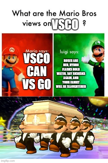 VSCO more like VSNO | VSCO; VSCO CAN VS GO; ROSES ARE RED, HYDRO FLASKS HOLD WATER, SAY SKSKSKS AGAIN, AND YOUR FAMILY WILL BE SLAUGHTERED | image tagged in mario,luigi,coffin dance | made w/ Imgflip meme maker