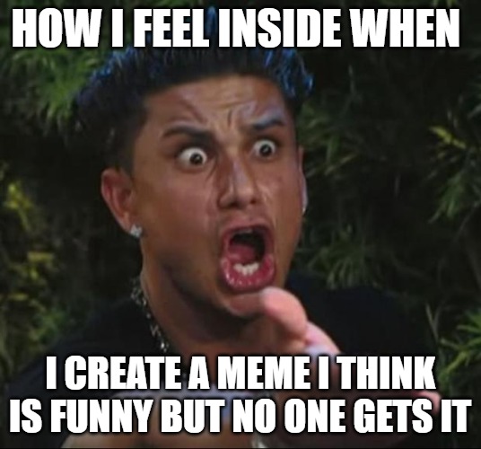 DJ Pauly D Meme | HOW I FEEL INSIDE WHEN; I CREATE A MEME I THINK IS FUNNY BUT NO ONE GETS IT | image tagged in memes,dj pauly d | made w/ Imgflip meme maker