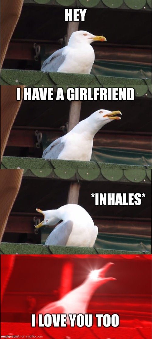 A visceral understanding of middle school hormones and social awkwardness. | image tagged in awkward,inhaling seagull,girlfriend,dating,middle school,well this is awkward | made w/ Imgflip meme maker