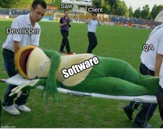Software Development | Sale; Client; Developer; QA; Software | image tagged in injured frog,software,development,technology,programmers | made w/ Imgflip meme maker