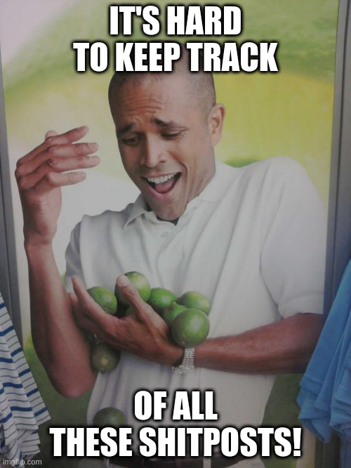 Why Can't I Hold All These Limes Meme | IT'S HARD TO KEEP TRACK; OF ALL THESE SHITPOSTS! | image tagged in memes,why can't i hold all these limes | made w/ Imgflip meme maker
