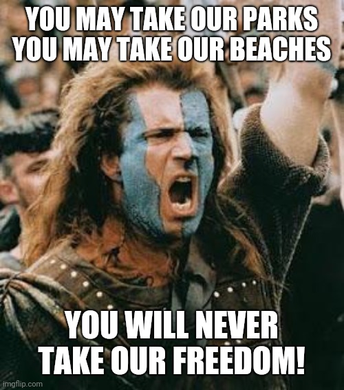 Dear Gov. Newsom | YOU MAY TAKE OUR PARKS YOU MAY TAKE OUR BEACHES; YOU WILL NEVER TAKE OUR FREEDOM! | image tagged in braveheart | made w/ Imgflip meme maker