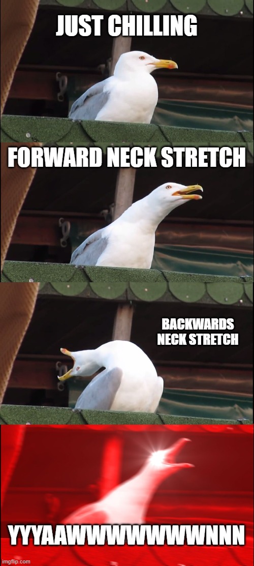 not a cat but cats like birds so somewhat related | JUST CHILLING; FORWARD NECK STRETCH; BACKWARDS NECK STRETCH; YYYAAWWWWWWWNNN | image tagged in memes,inhaling seagull | made w/ Imgflip meme maker