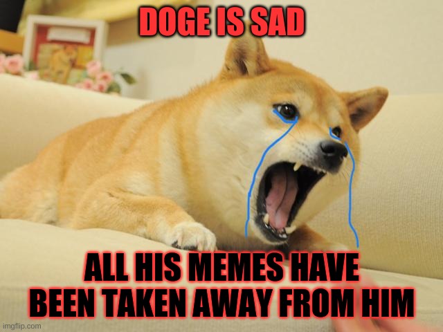 Doge is sad - Imgflip